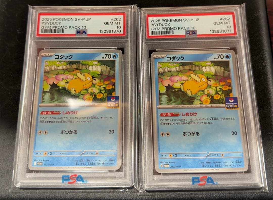 PSA10 コダック　しめりけ　262/SV-P ジムプロモ　2連番