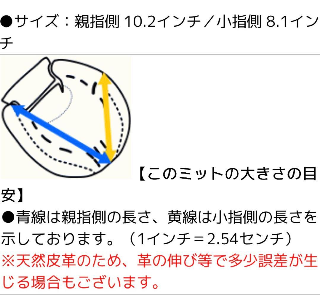 美品　ハタケヤマ硬式キャッチャーミット　40周年限定　M９