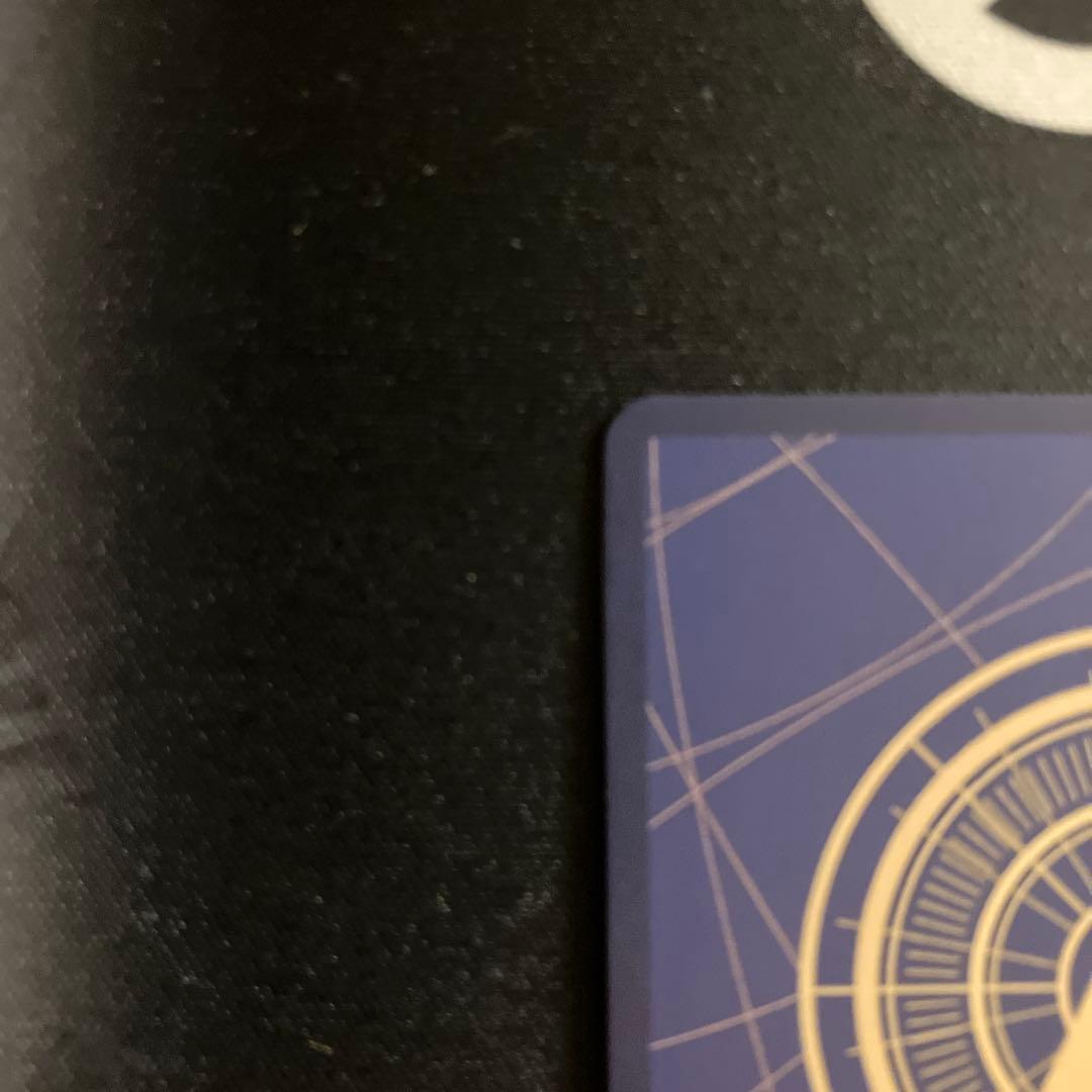 ルフィ　手配書　受け継がれる意思