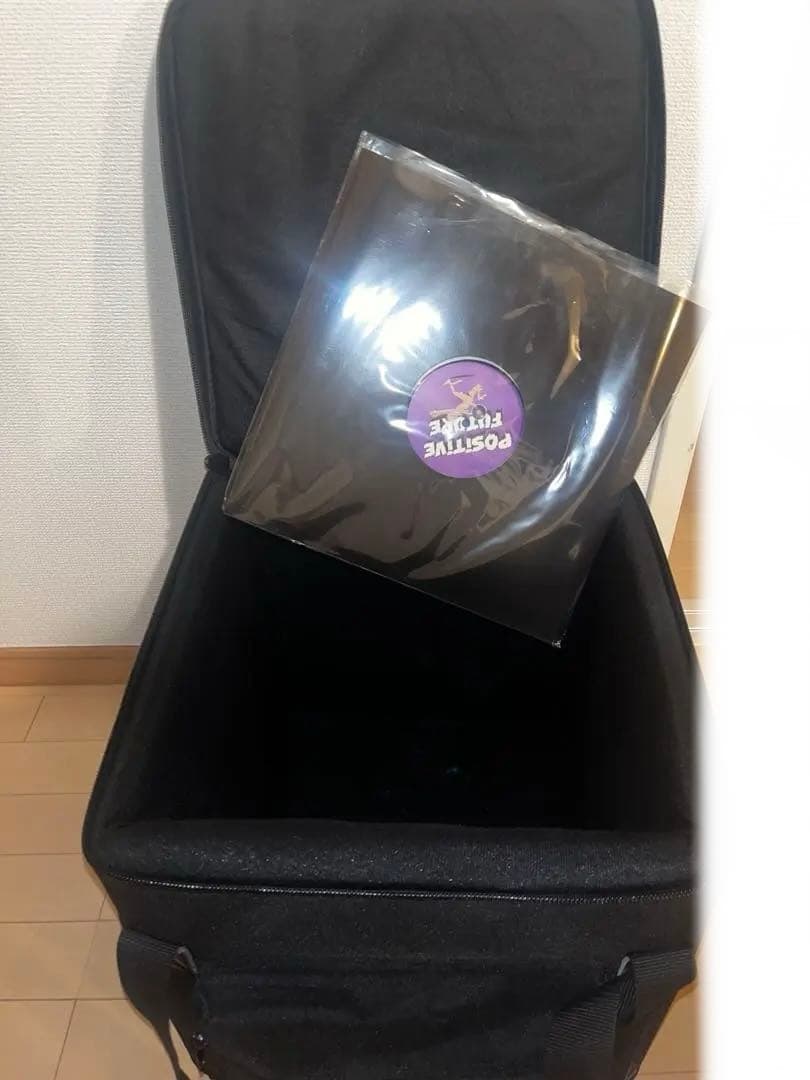 PLAYTECH レコードバック キャリータイプ