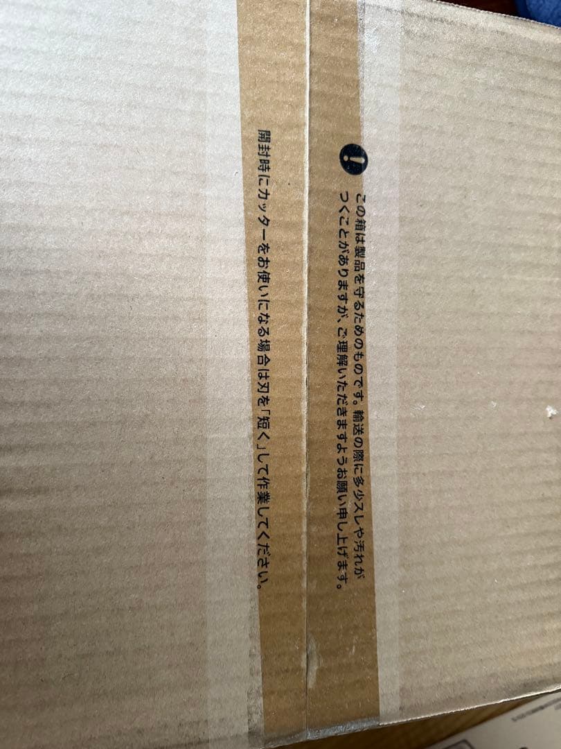 新品未開封　BALMUDA GreenFan C2