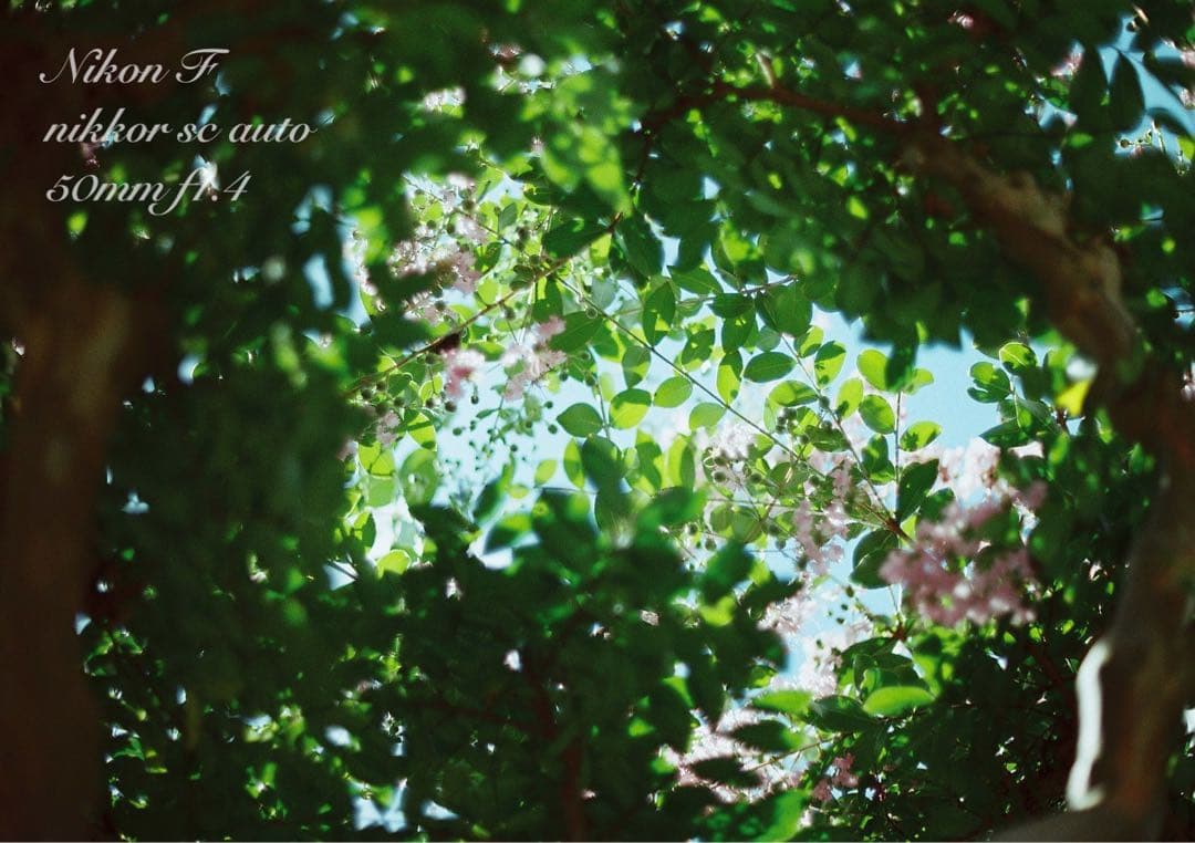 Choiさま専用★(値引きノークレーム)完動品＊美品★nikon f