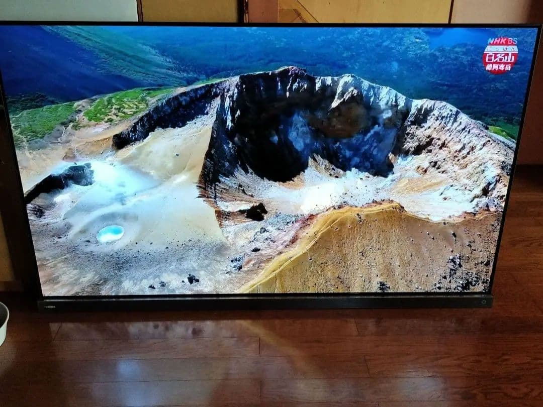 値下げ―REGZA有機EL/65X9400 /引取無料