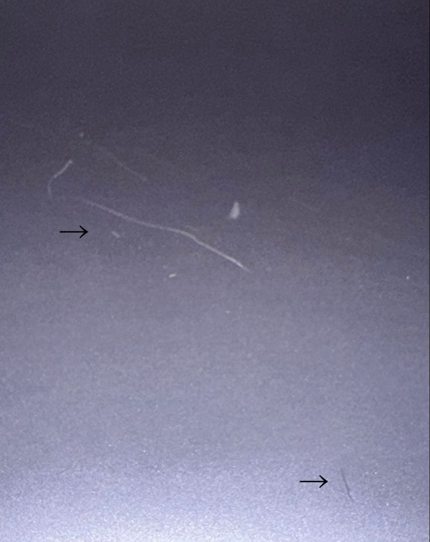 Lenovo IdeaPad Slim 3 Gen 8 15.6型 16GB