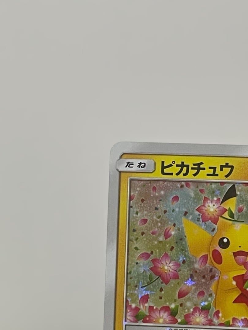 ピカチュウ プロモ みんなでいわう