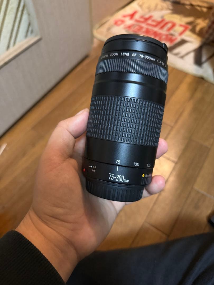 Canon EOS 5D Mark IV モニターに不備あり