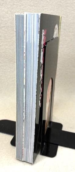 人間国宝二人の写真集　桜姫東文章・坂東玉三郎歌舞伎女形/三島由紀夫序