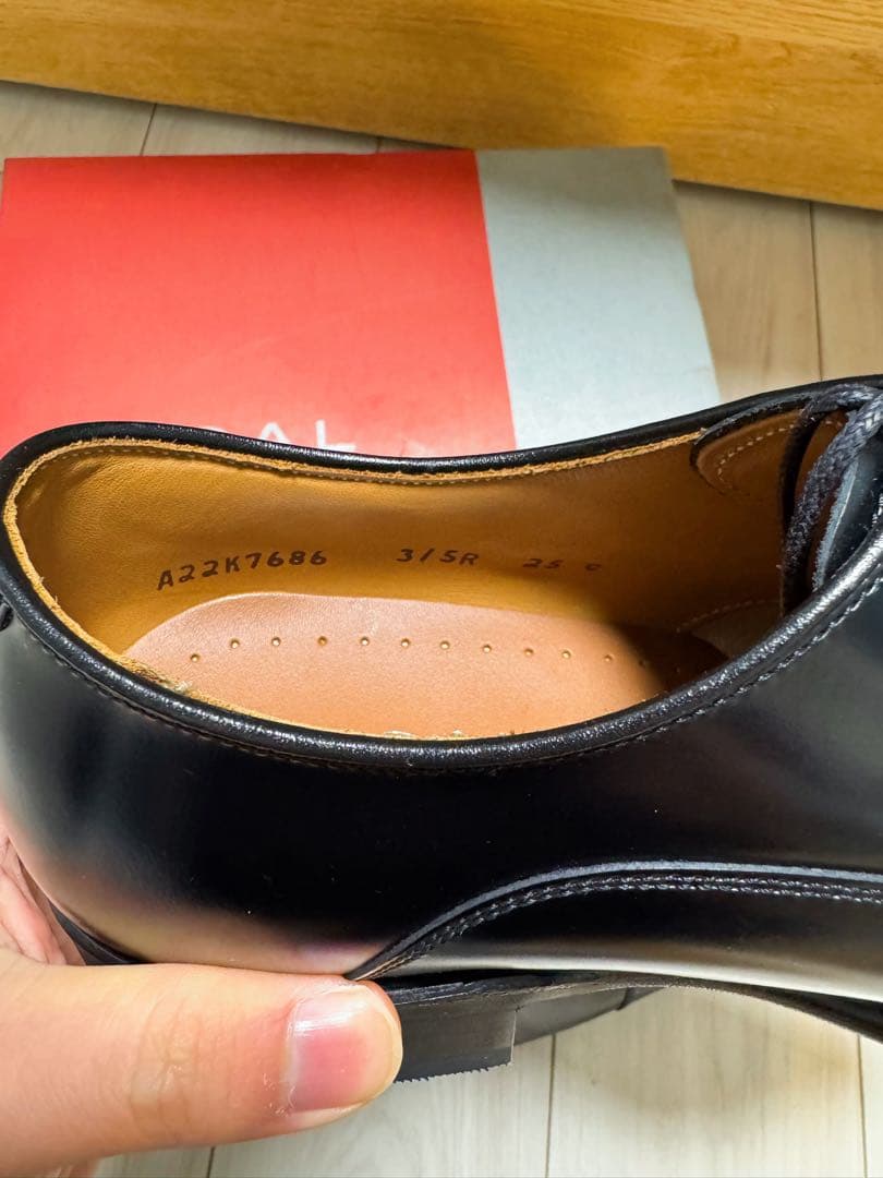 [新品・未使用]REGAL/リーガル315R ストレートチップ 25