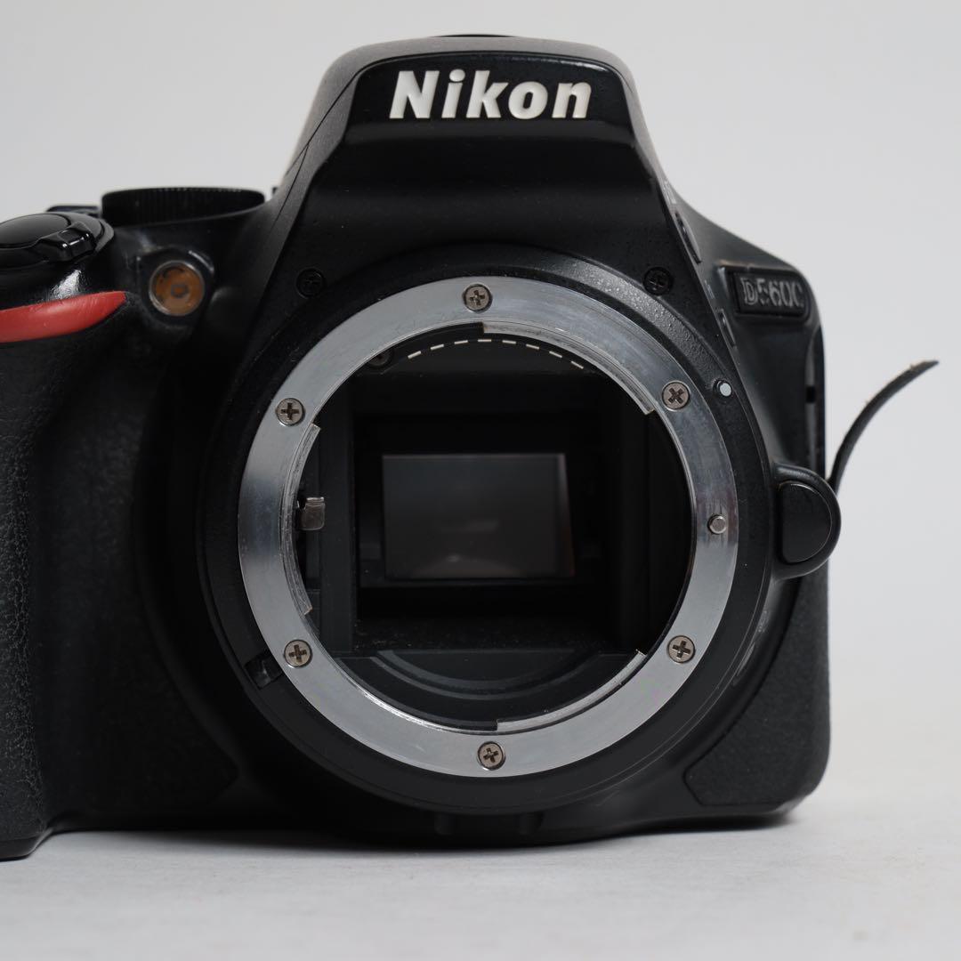 Nikon D5600 レンズセット