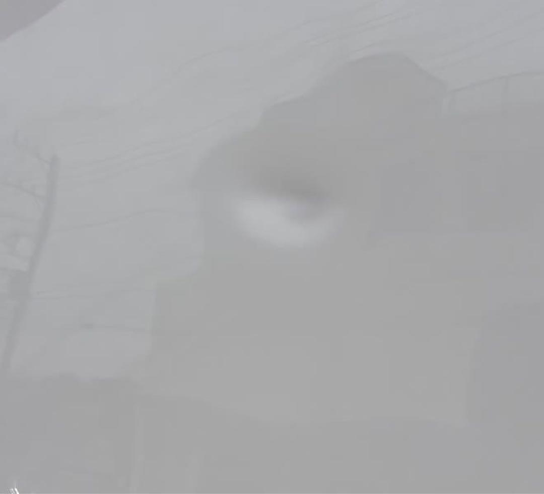 The sponge 6’0” 全国発送可能