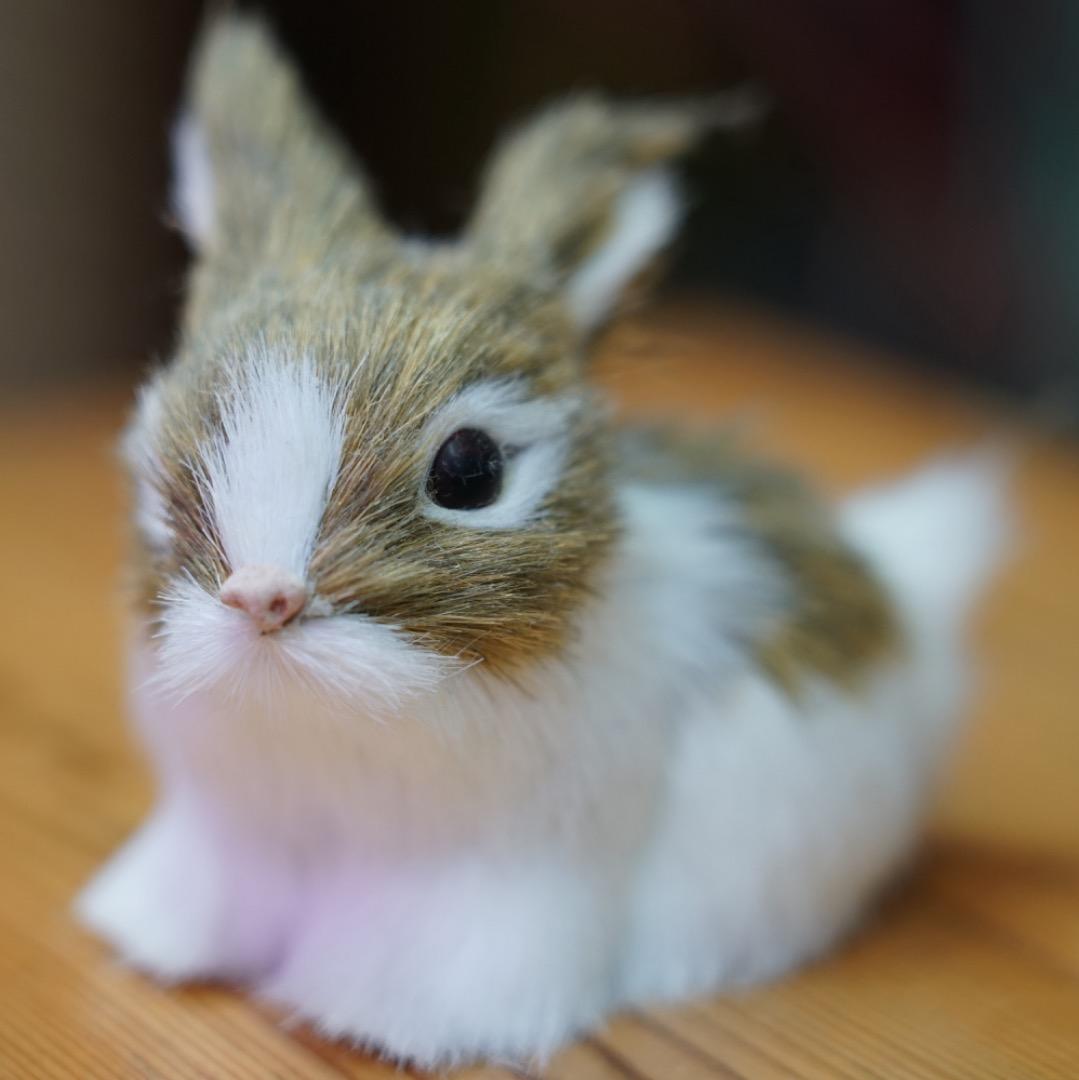 【保証付】SONY FE 24-105mm F4 G 極上品