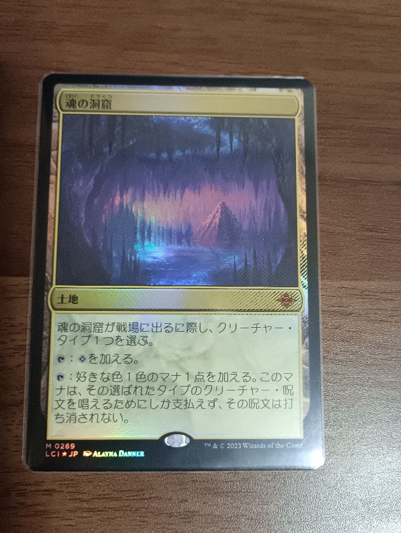 MTG 魂の洞窟（日）foil 2枚セット〔Lcl〕