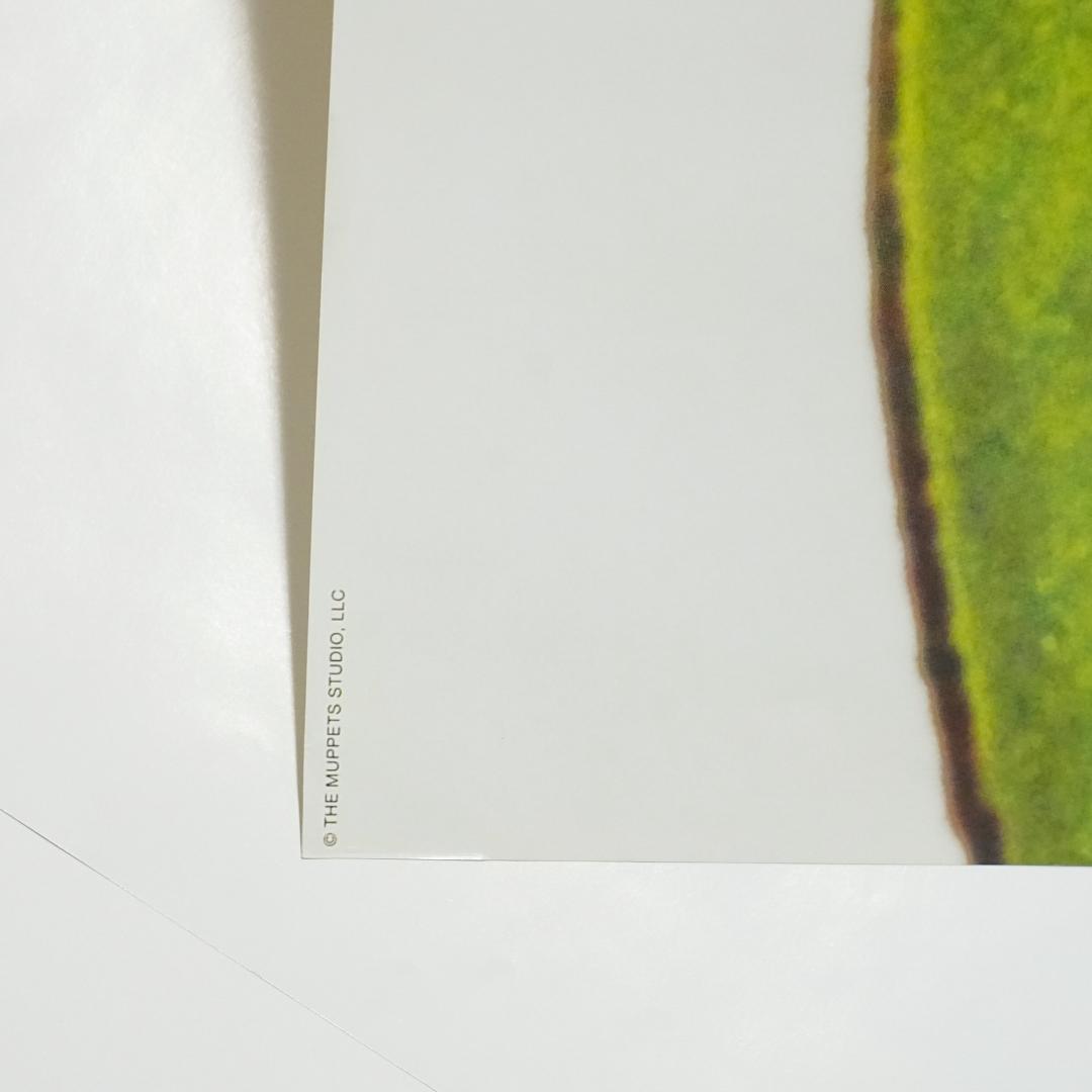 額装込み supreme カーミット ポスター シュプリーム