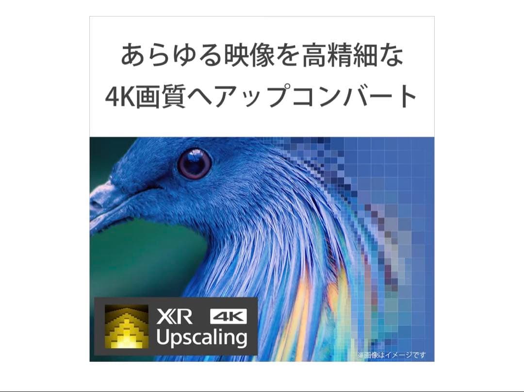 【送料無料】SONY 2022年製 55型 BRAVIA XRJ-55A95K