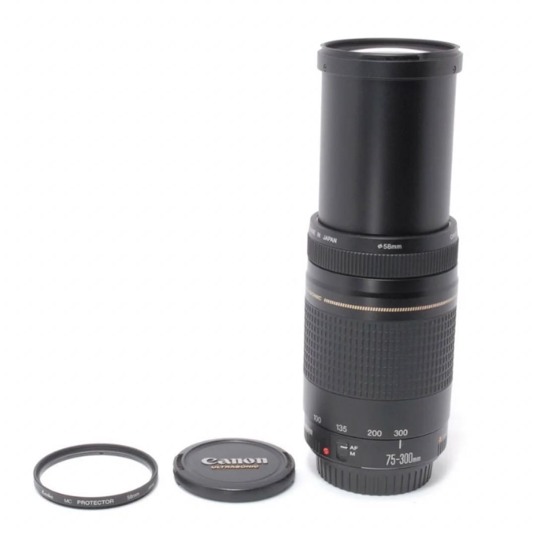 遠くもバッチリ⭐️超望遠レンズ⭐️Canon EF75-300 Ⅱ USM⭐️