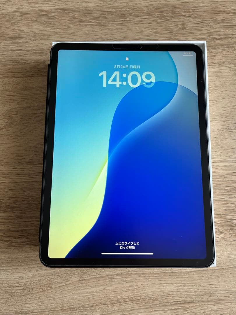 iPad Pro 11インチ (第2世代) スペースグレー 128GB