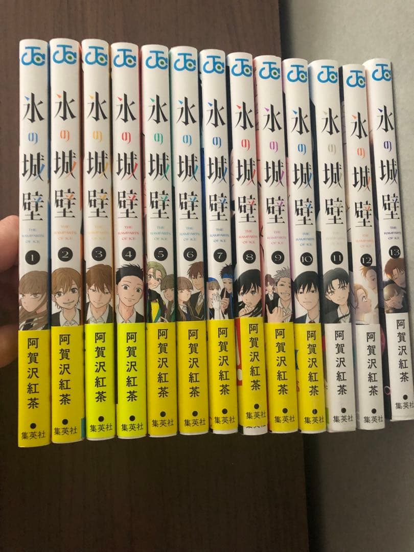 氷の城壁 1-13巻セット※14巻なし