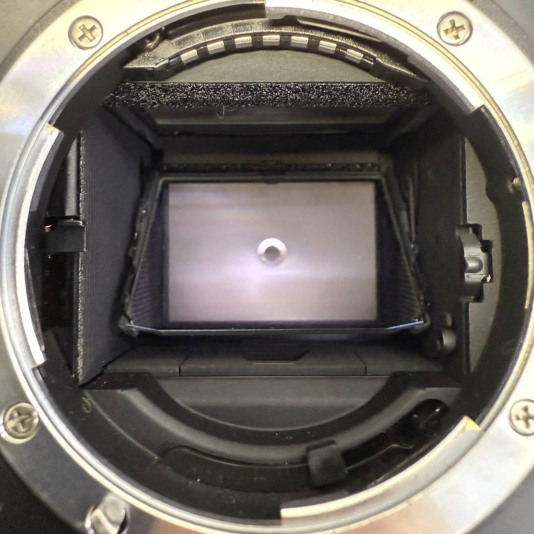 ☆ニコン F4☆ボディ Nikon カメラ 一眼レフ DP-20 簡易動作OK