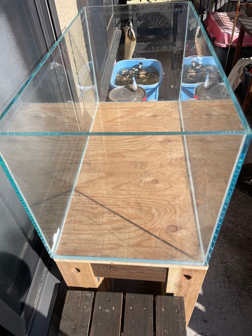 Ꮚ*Ꮚ様 ガラス水槽