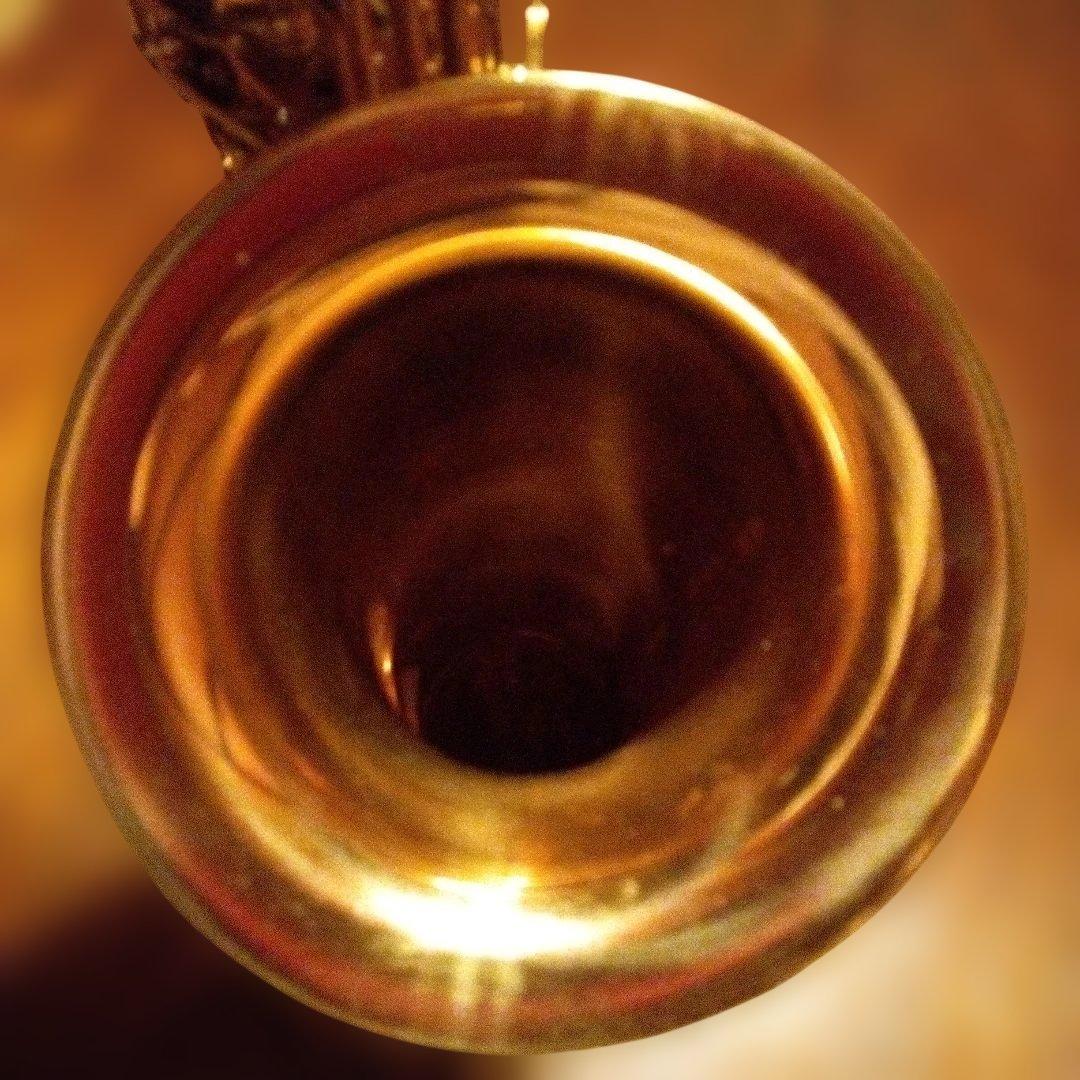 メイビスアルトサックス