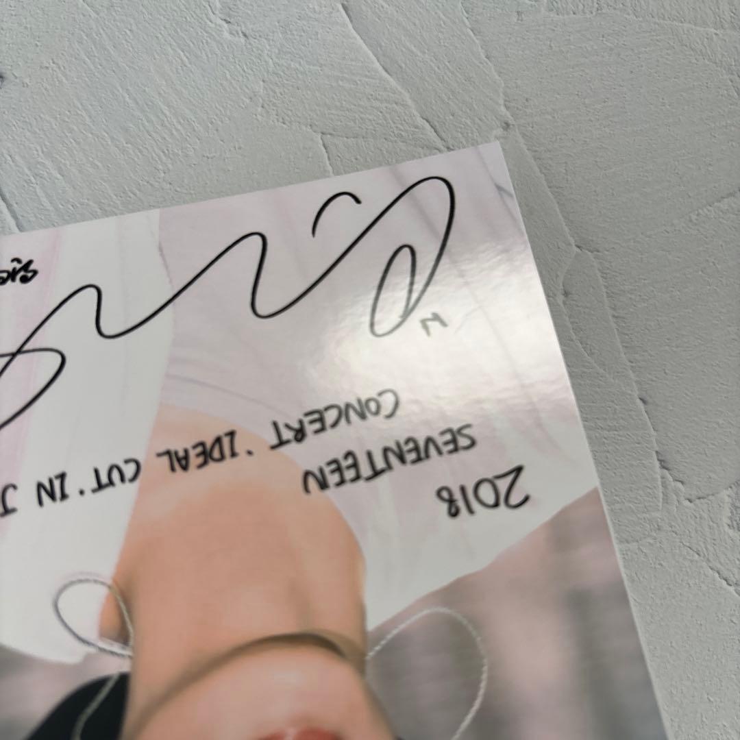 SEVENTEEN☆ローソンプリント ウォヌ 11枚セット