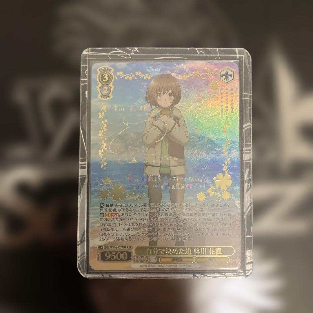 自分で決めた道　梓川　花楓　ABR