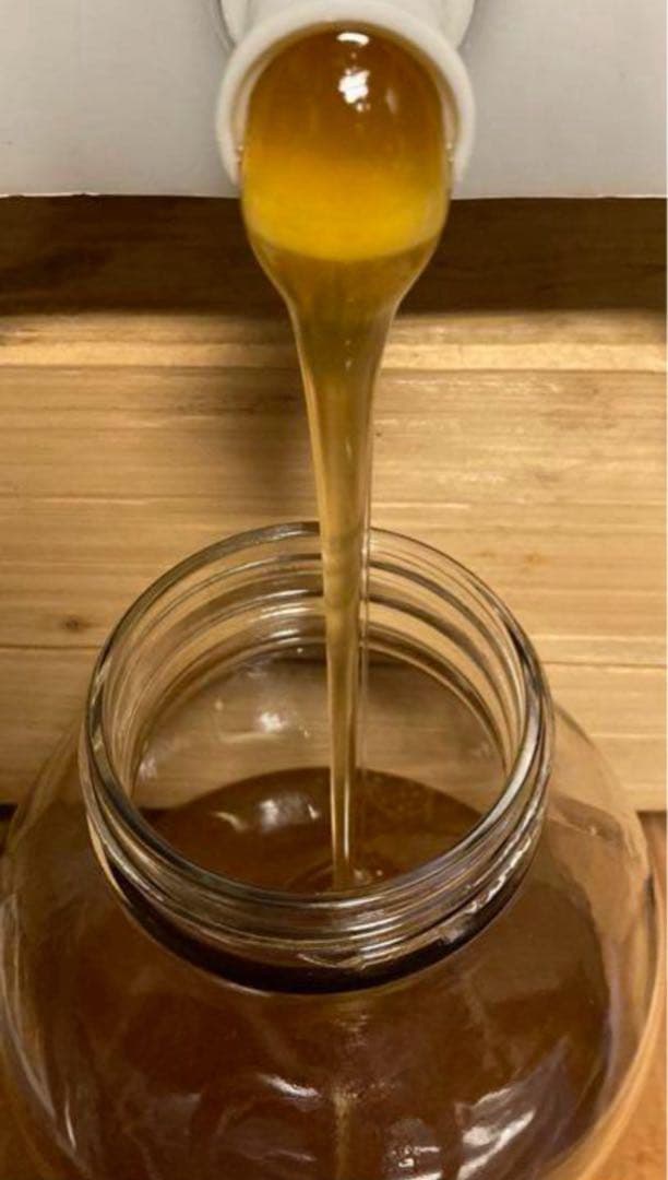 【専用出品】ニホンミツバチ　百花蜜　2,350g結晶化