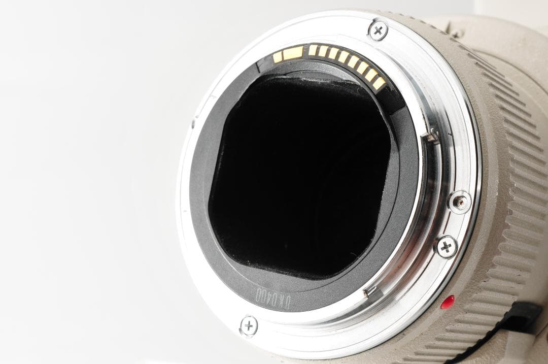 Canon EF 400mm 2.8L II USM 単焦点レンズ#1024