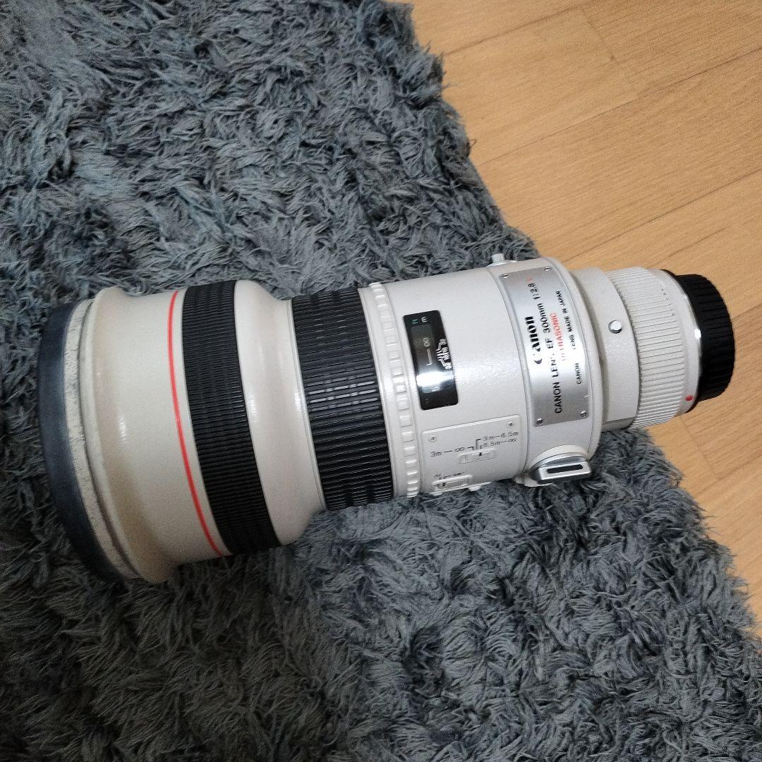 レンズ(単焦点) EF300mm F2.8L usm
