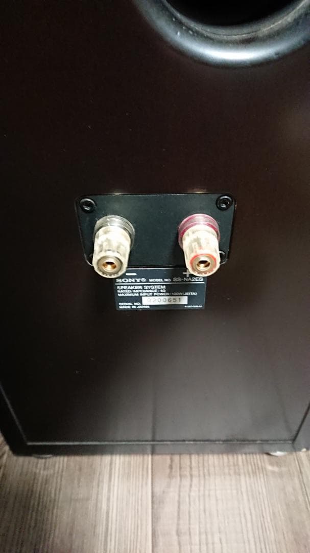 SONY ソニー SS-NA2ES　ペア