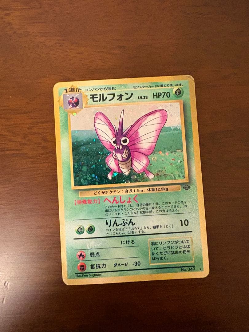 【旧裏】ポケモンカード neo プレミアムファイル 　その他