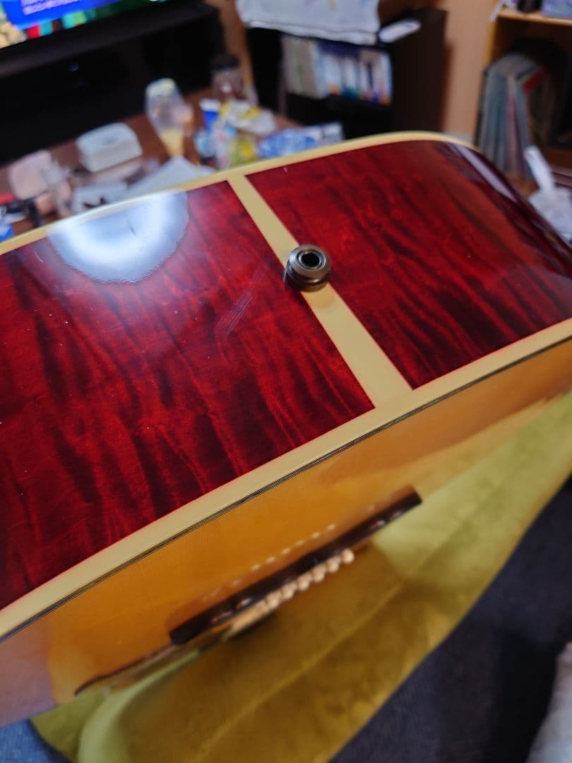 【Gibson　CustomShop　DovesIn　 Flight 2009】