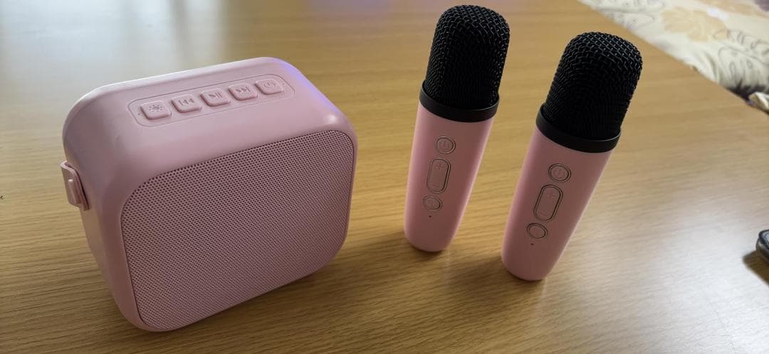 スピーカーセット カラオケ マイク 2本 Bluetooth5.3 カラオケセp