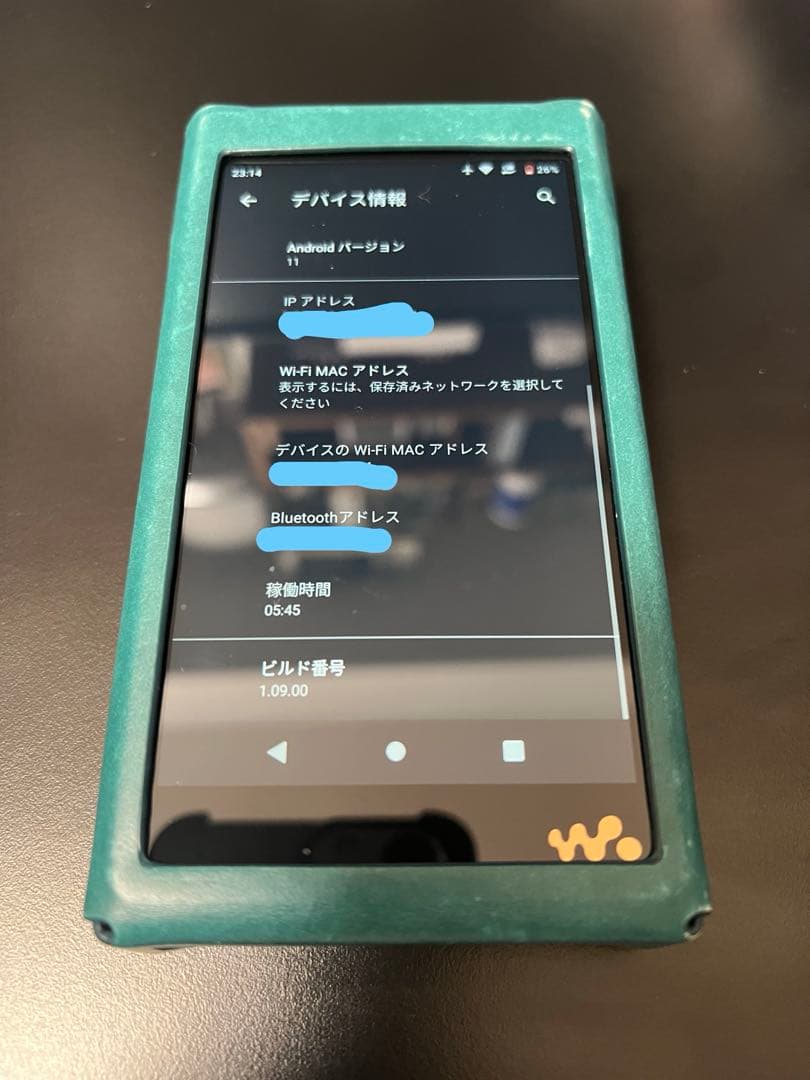 か*ん様 SONY NW-WM1AM2 (ケース+SDカード512GB付き)