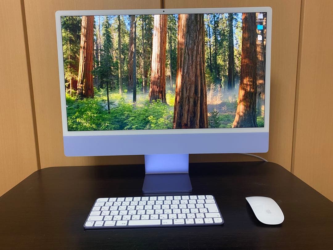 【美品】Apple iMac 24インチ M1 16GB 256GB
