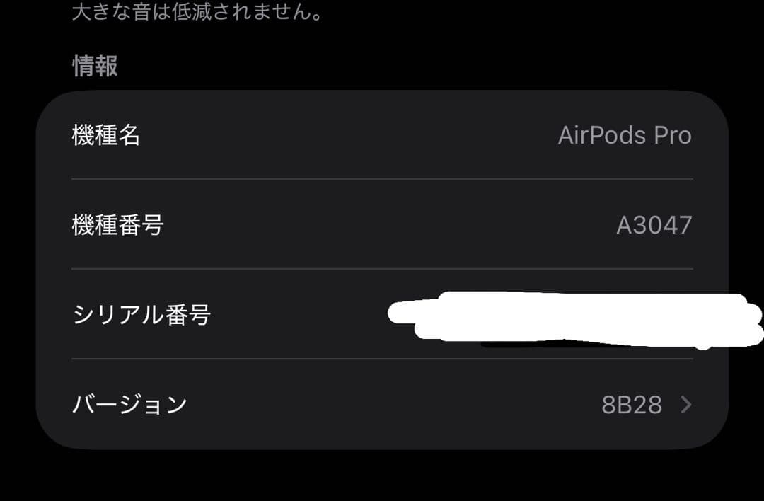 AirPods Pro （2nd generation） 2025年購入