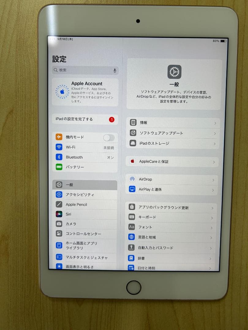 iPad mini (第5世代) 64GB Wi-Fi モデル (D3)