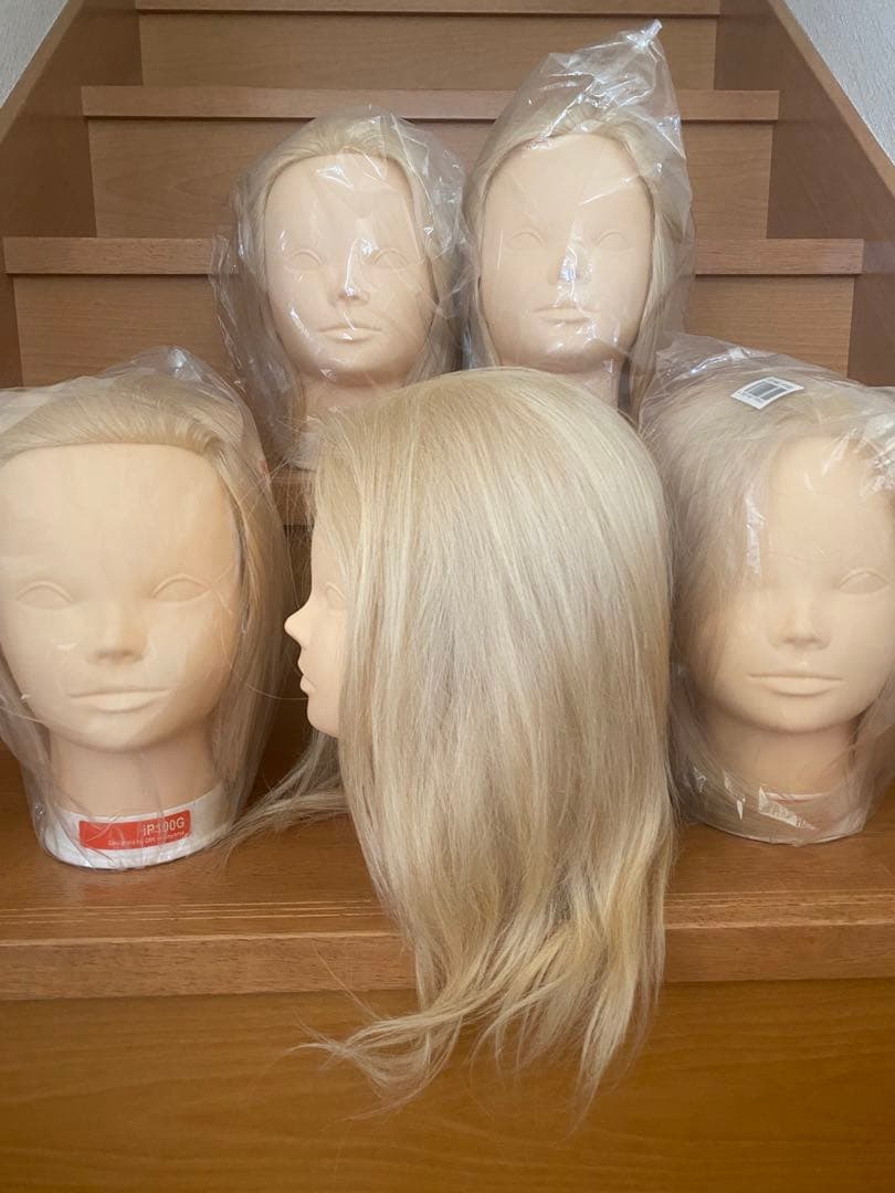 新品未使用 ウィッグカットカラーマネキン国試練習用iP100G 5体
