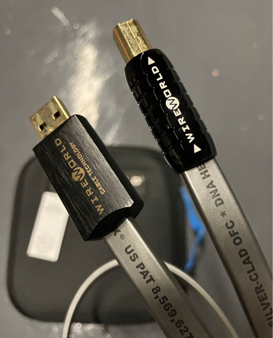 WIREWORLD SILVER STARLIGHT USBケーブル 1m