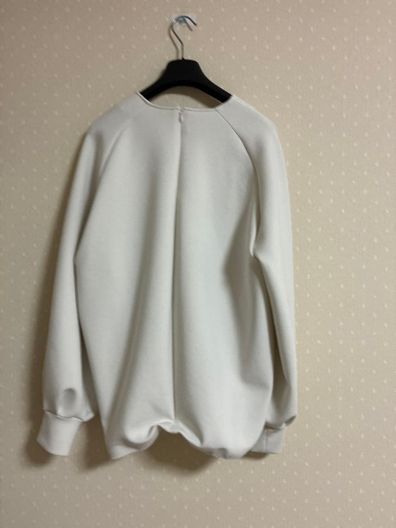 ピ*チ様 Deuxieme Classe dumblefit プルオーバー　ナチ