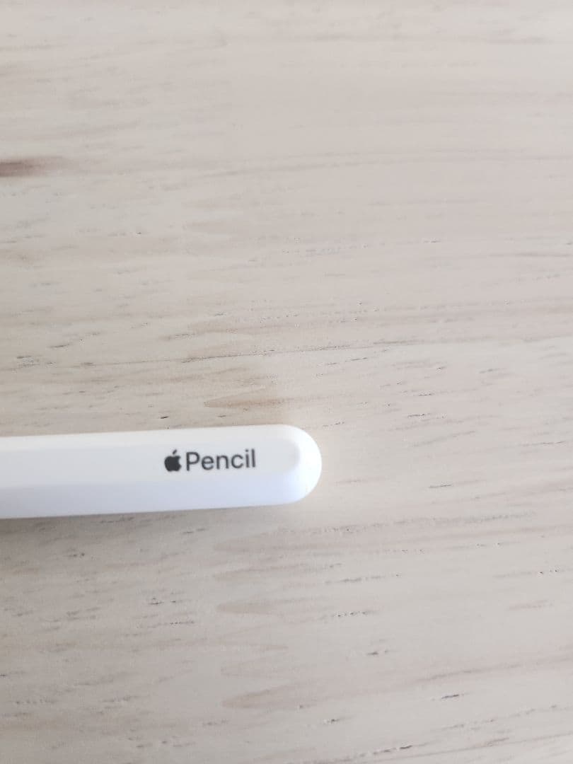 iPad pro (A2228) &Apple Pencil (第2世代)