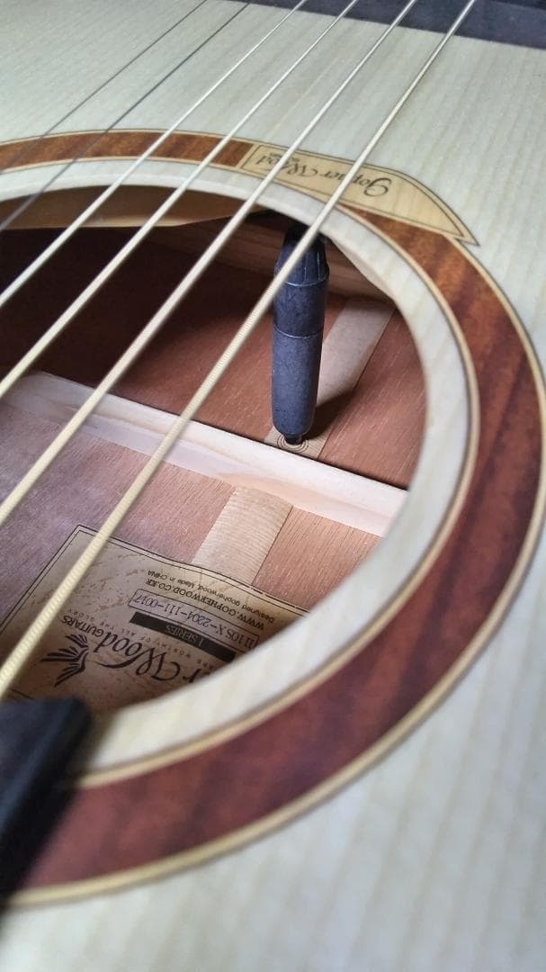 ❤️弦高調整済！「Gopher ゴフェル I110SX 」サウンドピラー内蔵！