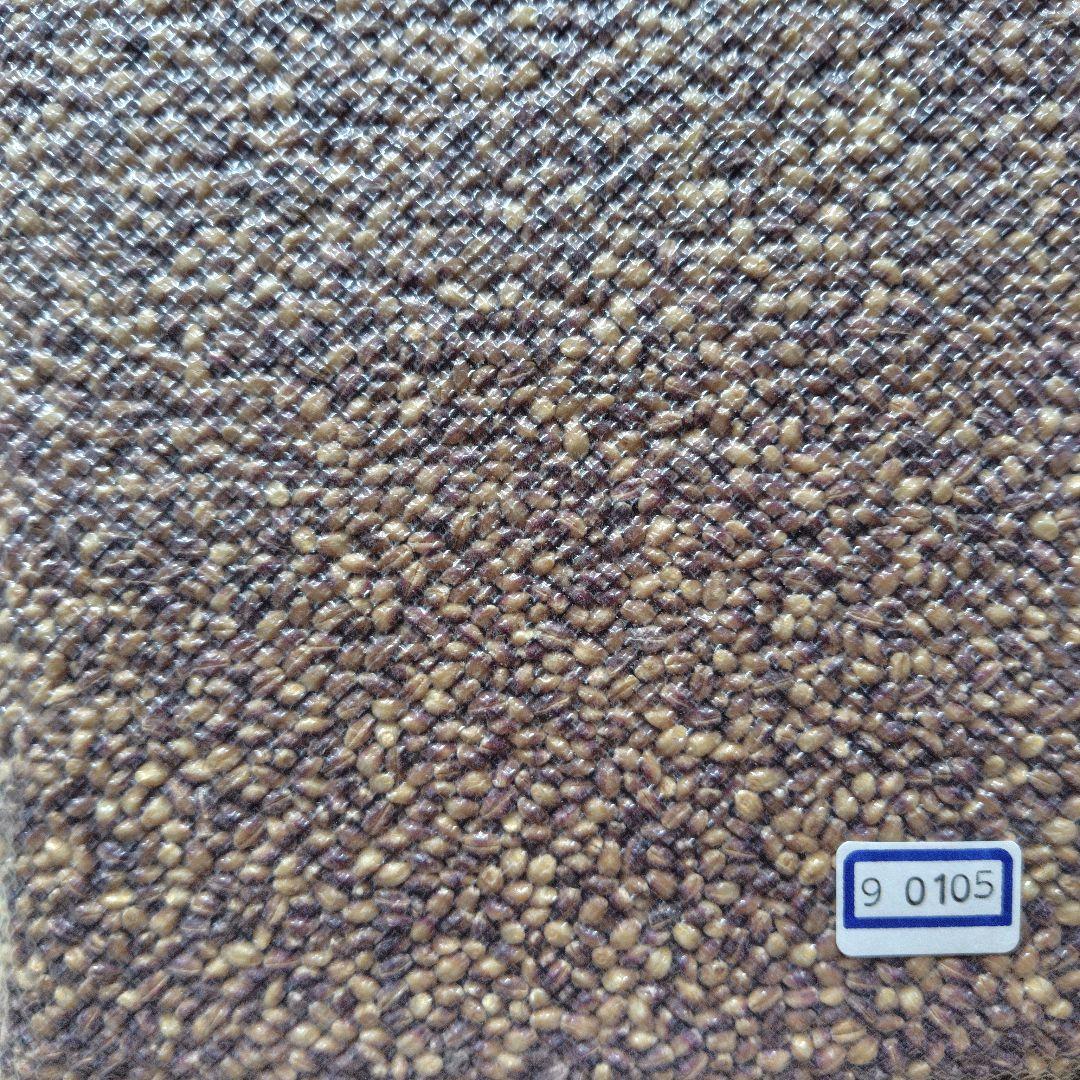 もち麦10kg 紫もち麦 ダイシモチ 美味しく食べやすく精麦済