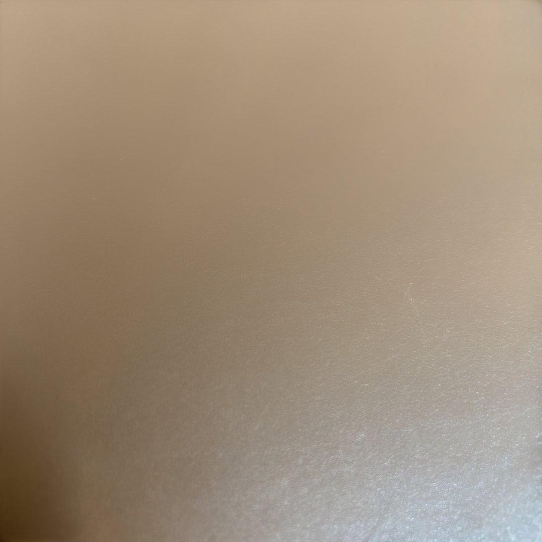 【未使用・キズあり】CÉLINE レザー iPadケース キャメル