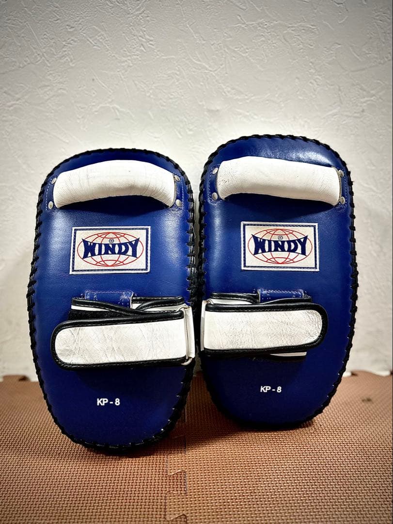 WINDY ウィンディKP-8 パンチ＆キックミット