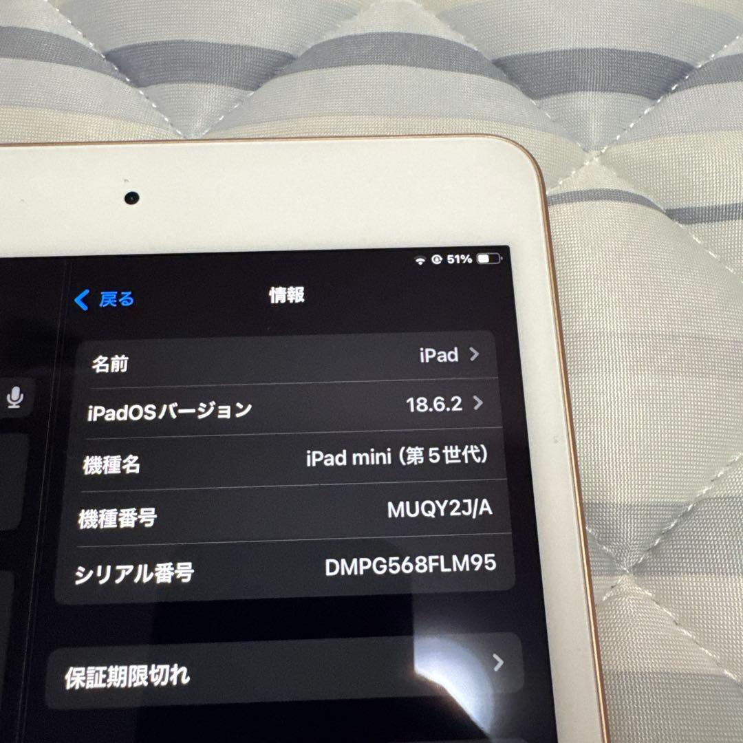 2524極美品新品級☆電池最良好☆iPad mini5 64GB WIFIモデル
