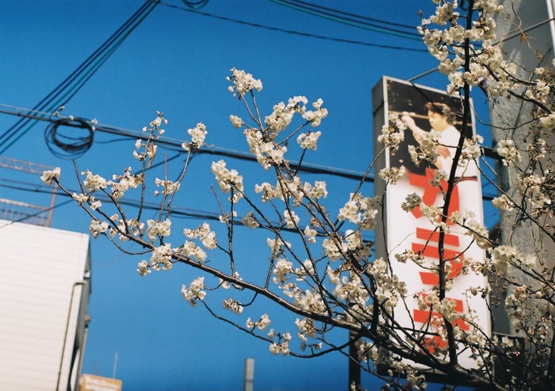 動作確認済 PENTAX ME super／SMC M 50mm f1.4