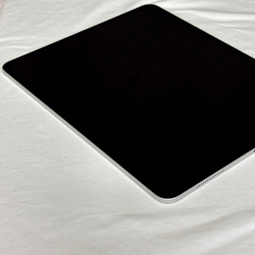 iPad Pro M4 13インチ wifi 256GB シルバー