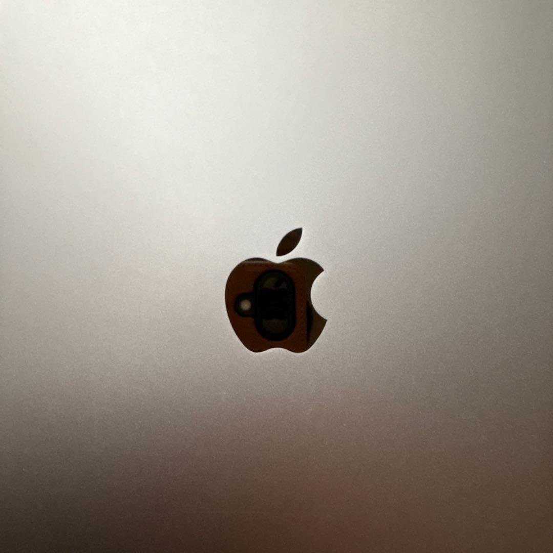 M*様 iPad 第5世代 32gb wi-fi+cellularゴールド 本体