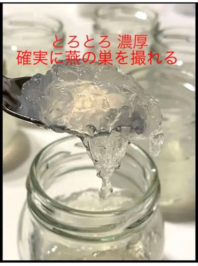 美肌効果♪コスパ高！リピーター様続出❗️天然燕の巣 燕角100g EGF シアル酸